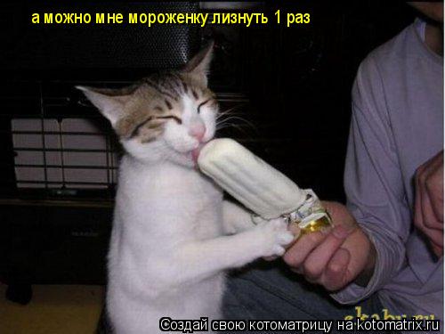 а можно мне мороженку лизнуть 1 раз... Котоматрица: а можно мне мороженку лизнуть 1 раз