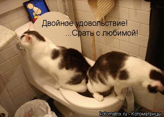 Двойное удовольствие! ...Срать с любимой!... Котоматрица: Двойное удовольствие! ...Срать с любимой!
