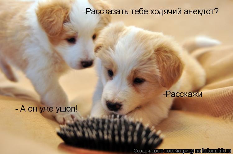 -Рассказать тебе ходячий анекдот? -Расскажи - А он уже ушол!... Котоматрица: -Рассказать тебе ходячий анекдот? -Расскажи - А он уже ушол!