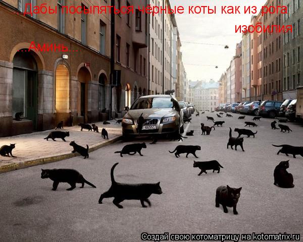 ...Дабы посыпяться чёрные коты как из рога изобилия ...Аминь...... Котоматрица: ...Дабы посыпяться чёрные коты как из рога изобилия ...Аминь...