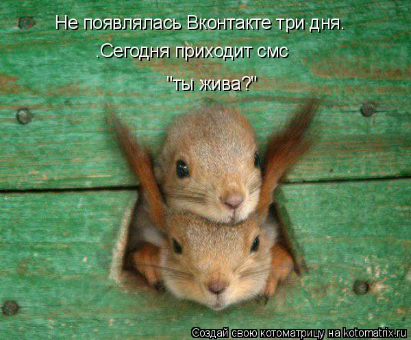 Не появлялась Вконтакте три дня. .Сегодня приходит смс "ты жива?"... Котоматрица: Не появлялась Вконтакте три дня. .Сегодня приходит смс "ты жива?"