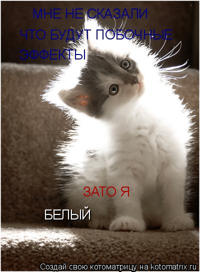 МНЕ НЕ СКАЗАЛИ ЧТО БУДУТ ПОБОЧНЫЕ ЭФФЕКТЫ ЗАТО Я БЕЛЫЙ... Котоматрица: МНЕ НЕ СКАЗАЛИ ЧТО БУДУТ ПОБОЧНЫЕ ЭФФЕКТЫ ЗАТО Я БЕЛЫЙ