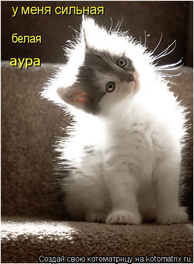 у меня сильная белая аура... Котоматрица: у меня сильная белая аура