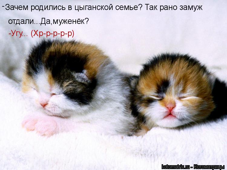 Зачем родились в цыганской семье? Так рано замуж отдали...Да,муженёк? - - -Угу... (Хр-р-р-р-р)... Котоматрица: Зачем родились в цыганской семье? Так рано замуж отдали...Да,муженёк? - - -Угу... (Хр-р-р-р-р)