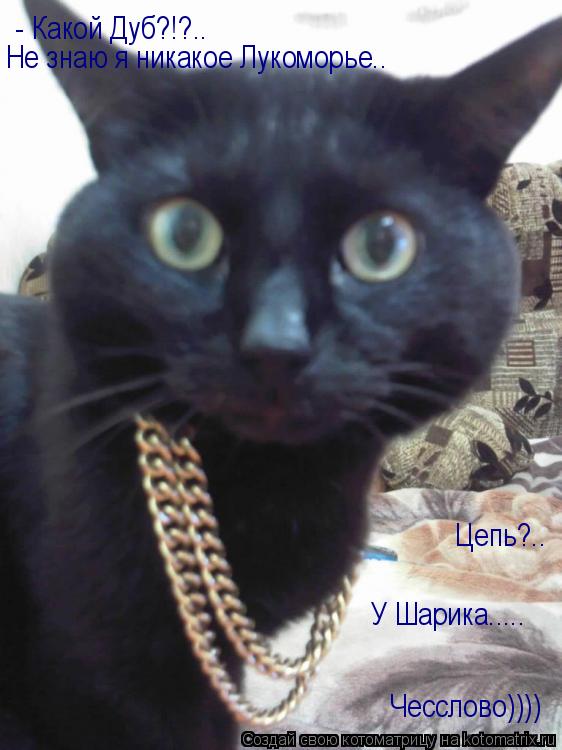 - Какой Дуб?!?.. Не знаю я никакое Лукоморье.. Цепь?.. У Шарика..... Чесслово))))... Котоматрица: - Какой Дуб?!?.. Не знаю я никакое Лукоморье.. Цепь?.. У Шарика..... Чесслово))))
