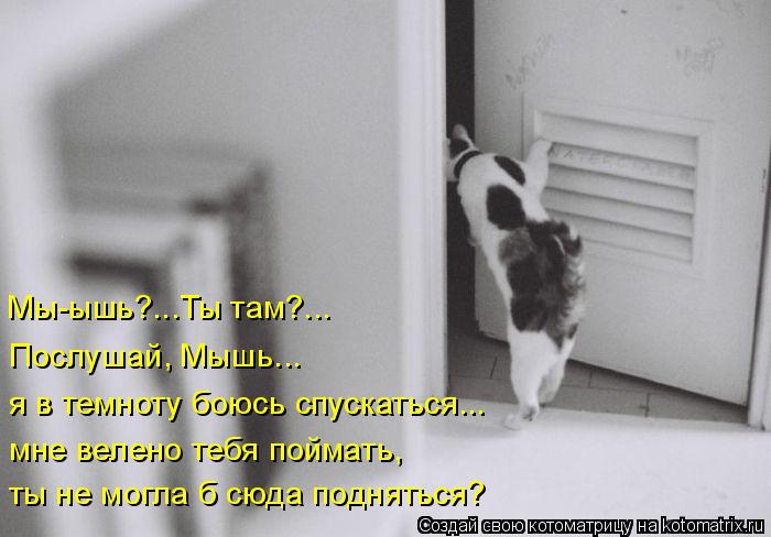 ты не могла б сюда подняться? мне велено тебя поймать, я в темноту боюсь спускаться... Мы-ышь?...Ты т... Котоматрица: ты не могла б сюда подняться? мне велено тебя поймать, я в темноту боюсь спускаться... Мы-ышь?...Ты там?... Послушай, Мышь...