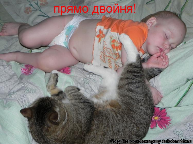 Котоматрица: прямо двойня!