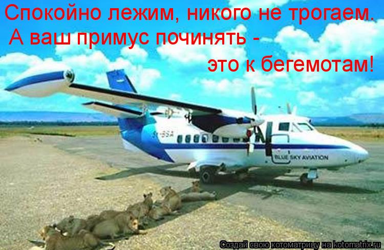 А ваш примус починять - это к бегемотам! Спокойно лежим, никого не трогаем.... Котоматрица: А ваш примус починять - это к бегемотам! Спокойно лежим, никого не трогаем.