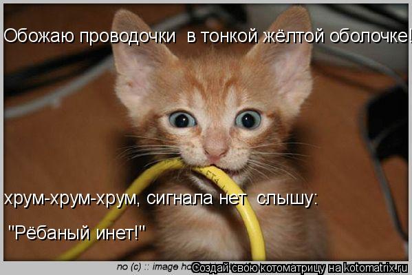 Котоматрица: Обожаю проводочки  в тонкой жёлтой оболочке! хрум-хрум-хрум, сигнала нет  слышу: "Рёбаный инет!"