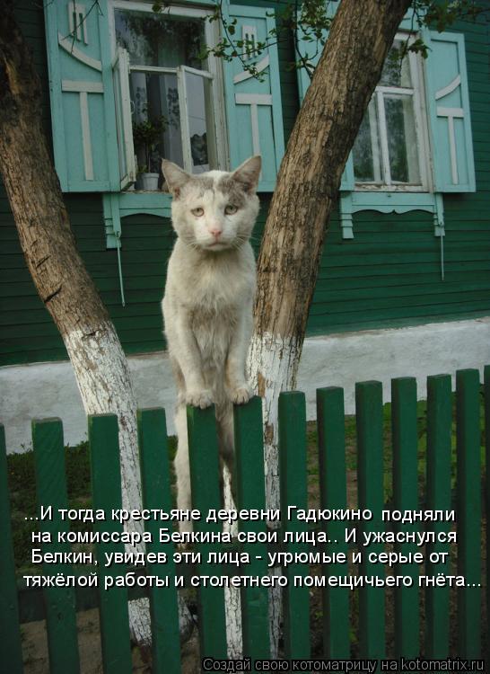 Котоматрица: ...И тогда крестьяне деревни Гадюкино  подняли на комиссара Белкина свои лица.. И ужаснулся  Белкин, увидев эти лица - угрюмые и серые от тяжёл
