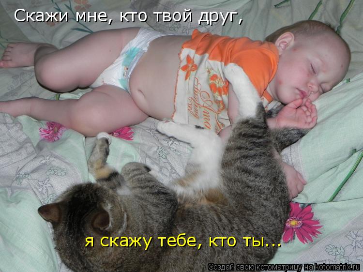 Котоматрица: Скажи мне, кто твой друг, я скажу тебе, кто ты...