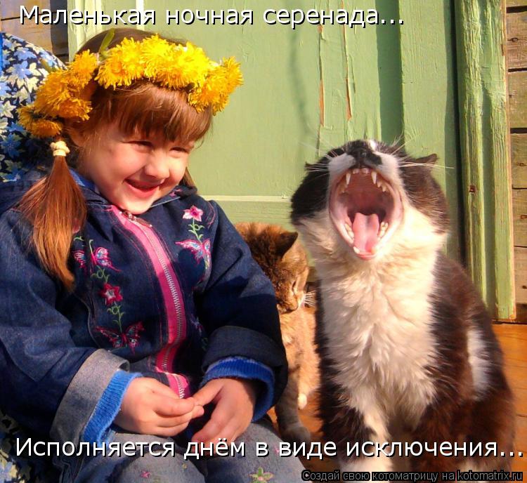 Маленькая ночная серенада... Исполняется днём в виде исключения...... Котоматрица: Маленькая ночная серенада... Исполняется днём в виде исключения...