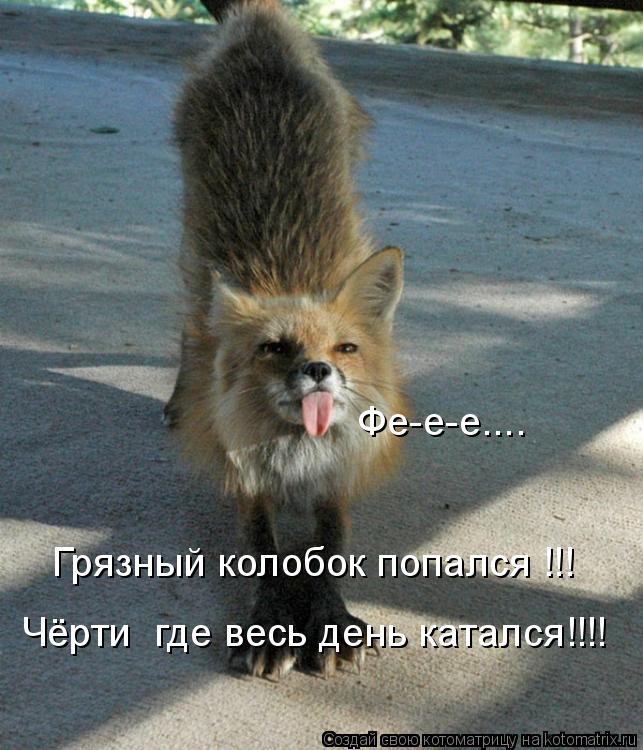 Фе-е-е.... Грязный колобок попался !!! Чёрти где весь день катался!!!!... Котоматрица: Фе-е-е.... Грязный колобок попался !!! Чёрти где весь день катался!!!!