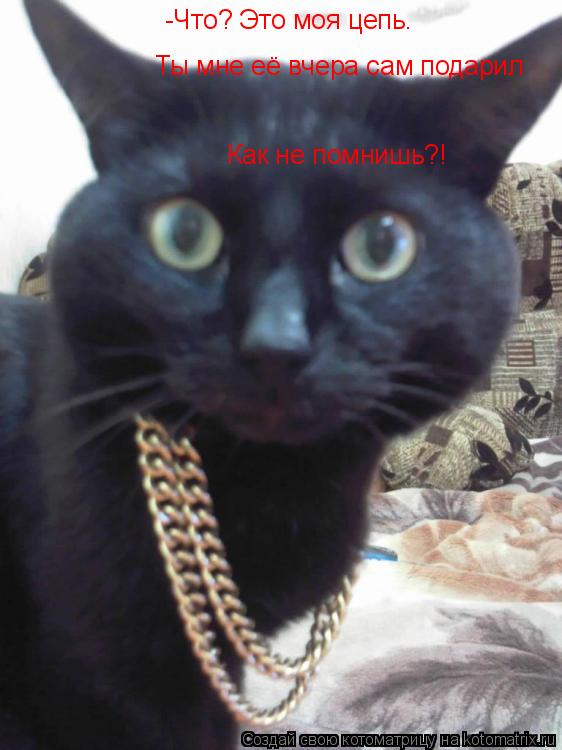 -Что? Это моя цепь. Ты мне её вчера сам подарил Как не помнишь?!... Котоматрица: -Что? Это моя цепь. Ты мне её вчера сам подарил Как не помнишь?!