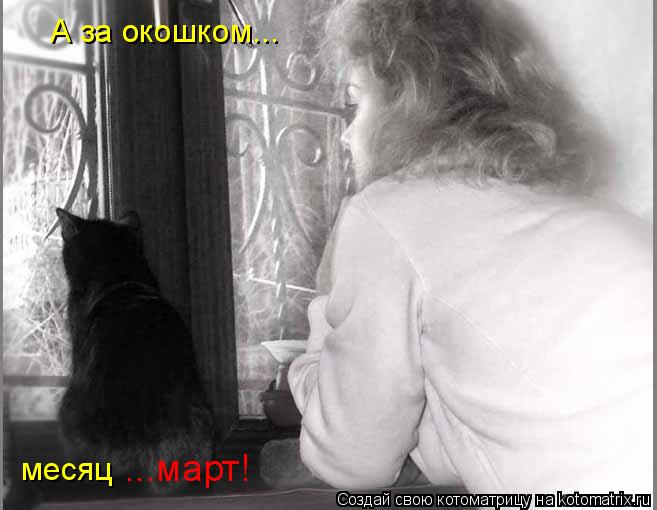 А за окошком... месяц ...март!... Котоматрица: А за окошком... месяц ...март!