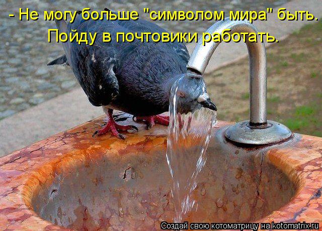 - Не могу больше "символом мира" быть. Пойду в почтовики работать.... Котоматрица: - Не могу больше "символом мира" быть. Пойду в почтовики работать.