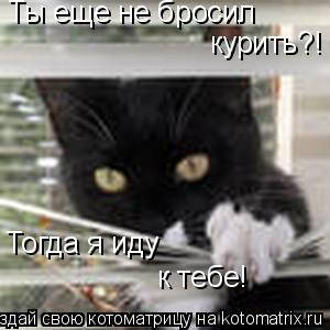 Ты еще не бросил курить?! Тогда я иду к тебе!... Котоматрица: Ты еще не бросил курить?! Тогда я иду к тебе!
