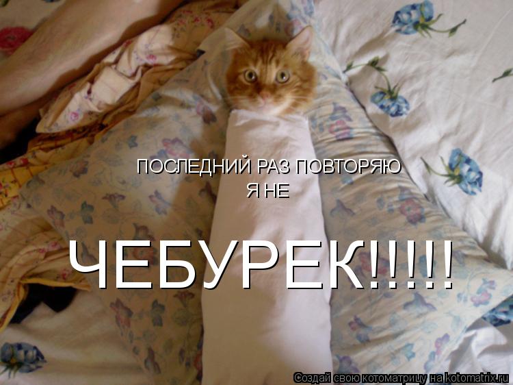 ПОСЛЕДНИЙ РАЗ ПОВТОРЯЮ Я НЕ ЧЕБУРЕК!!!!!... Котоматрица: ПОСЛЕДНИЙ РАЗ ПОВТОРЯЮ Я НЕ ЧЕБУРЕК!!!!!