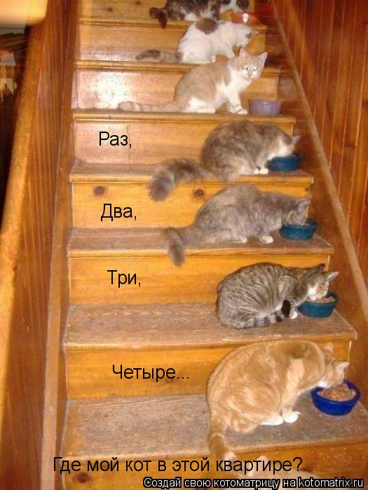 Котоматрица: Раз, Два, Три, Четыре... Где мой кот в этой квартире?
