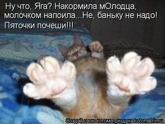 Ну что, Яга? Накормила мОлодца, молочком напоила...Не, баньку не надо! Пяточки почеши!!!... Котоматрица: Ну что, Яга? Накормила мОлодца, молочком напоила...Не, баньку не надо! Пяточки почеши!!!