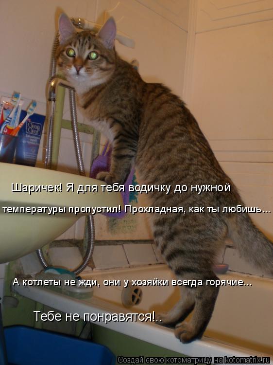 Котоматрица: Шаричек! Я для тебя водичку до нужной  температуры пропустил! Прохладная, как ты любишь... А котлеты не жди, они у хозяйки всегда горячие... Теб
