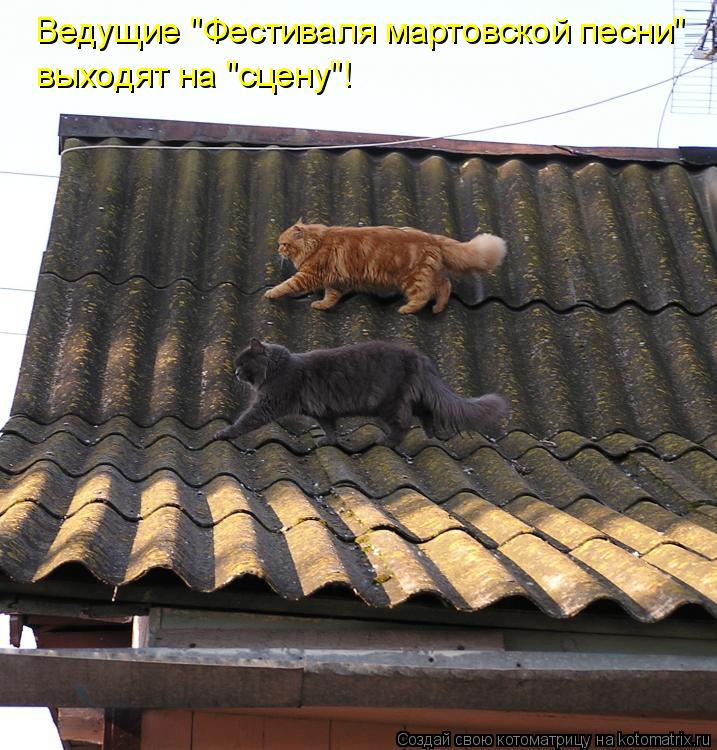 Котоматрица: Ведущие "Фестиваля мартовской песни"  выходят на "сцену"!