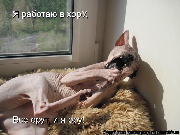 Я работаю в хорУ, Все орут, и я ору! Все орут, и я ору!... Котоматрица: Я работаю в хорУ, Все орут, и я ору! Все орут, и я ору!