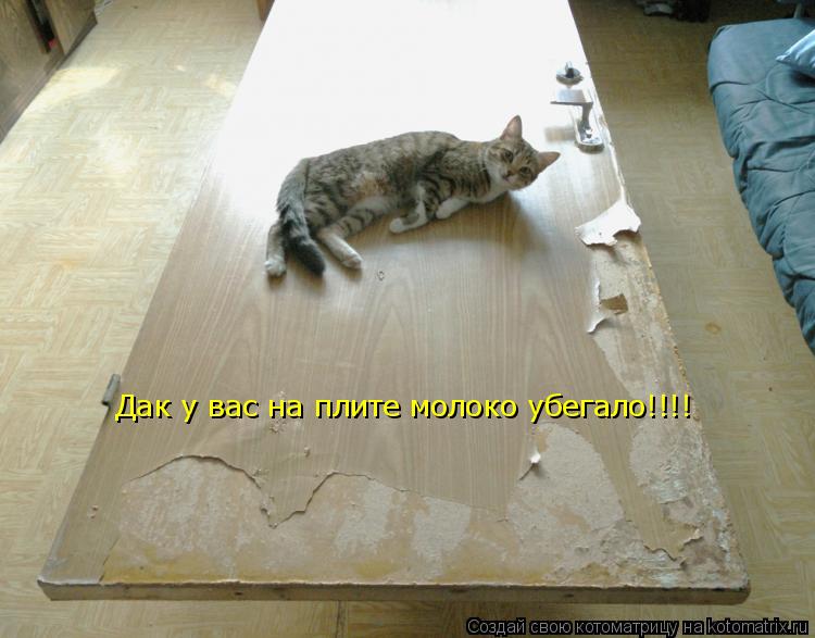 Котоматрица: Дак у вас на плите молоко убегало!!!!