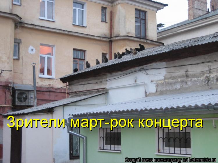 Зрители март-рок концерта... Котоматрица: Зрители март-рок концерта
