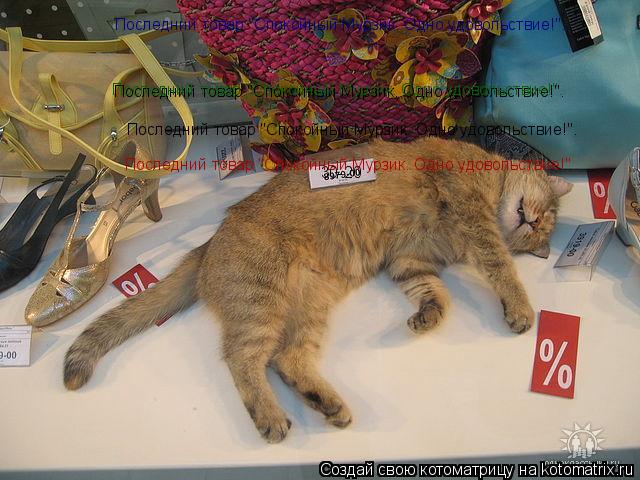 Котоматрица: 30-20 Последний товар "Спокойный Мурзик. Одно удовольствие!". Последний товар "Спокойный Мурзик. Одно удовольствие!". Последний товар "Спокойны