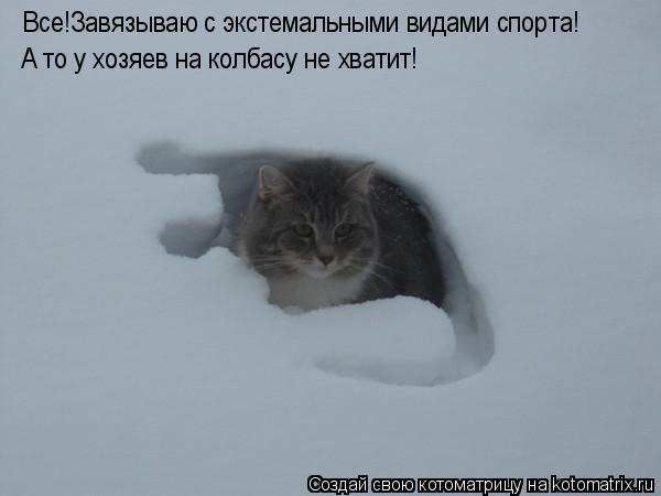 Котоматрица: Все!Завязываю с экстемальными видами спорта! А то у хозяев на колбасу не хватит!