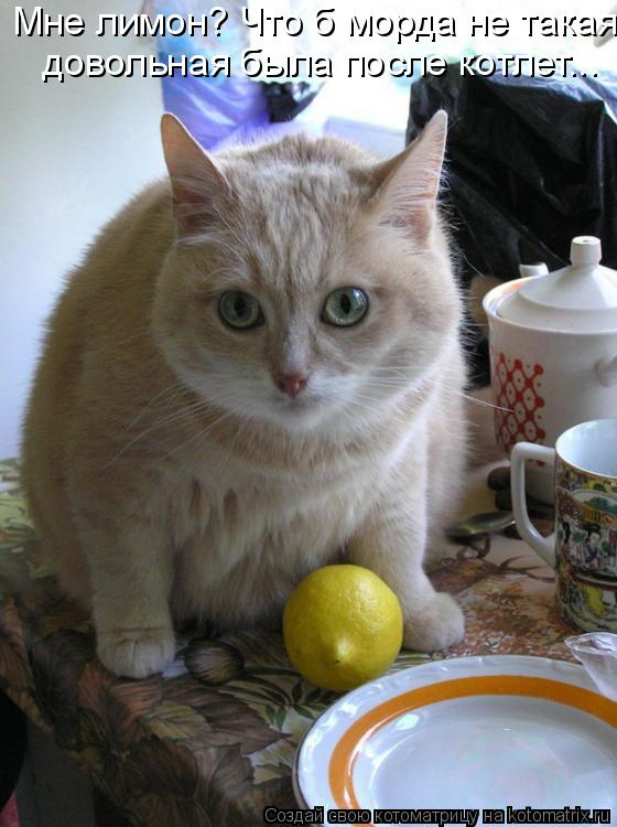 Котоматрица: Мне лимон? Что б морда не такая  довольная была после котлет...