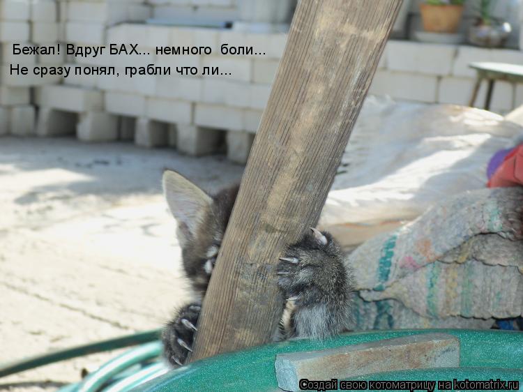 Котоматрица: Бежал! Вдруг БАХ... немного  боли... Не сразу понял, грабли что ли...