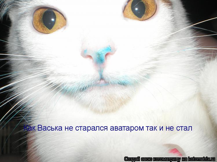 Котоматрица: Как Васька не старался аватаром так и не стал
