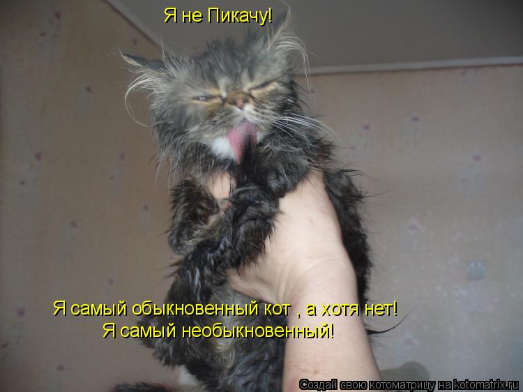 Котоматрица: Я не Пикачу! Я самый обыкновенный кот , а хотя нет!  Я самый необыкновенный!