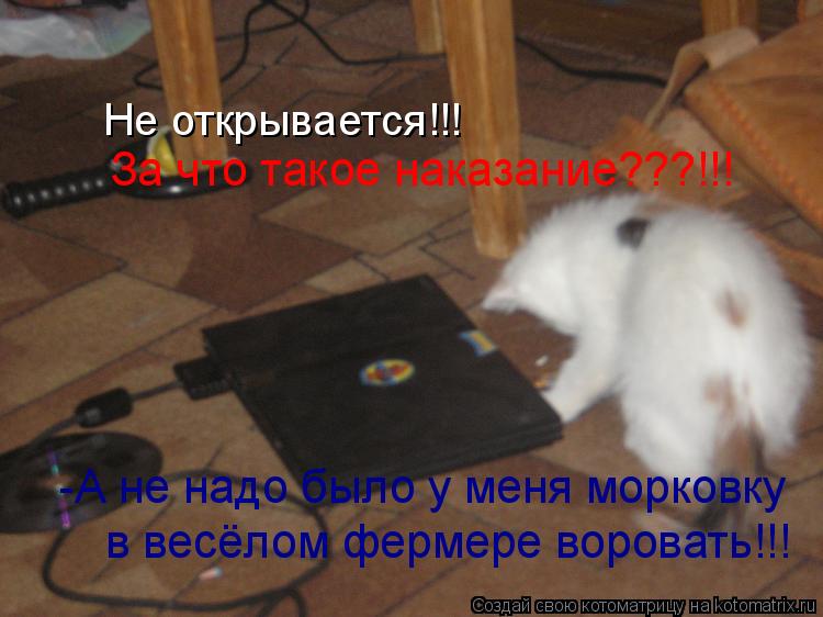 Котоматрица: Не открывается!!! За что такое наказание???!!! -А не надо было у меня морковку в весёлом фермере воровать!!!