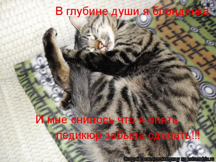 Котоматрица: В глубине души я блондинка И мне снилось что я опять педикюр забыла сделать!!!