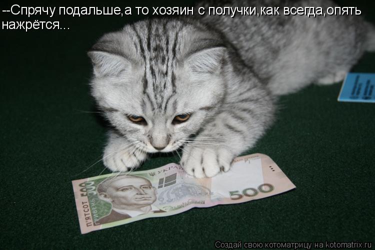 Котоматрица: --Спрячу подальше,а то хозяин с получки,как всегда,опять нажрётся...