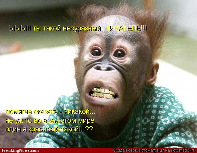 Котоматрица: ЫЫЫ!! ты такой несуразный, ЧИТАТЕЛЬ!!! не уж то во всем этом мире помягче сказать - никакой... один я красивый такой!!!??