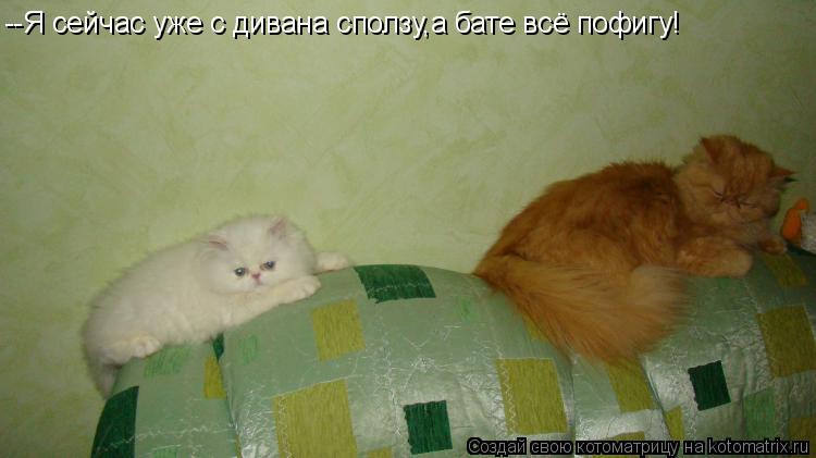 Котоматрица: --Я сейчас уже с дивана сползу,а бате всё пофигу!