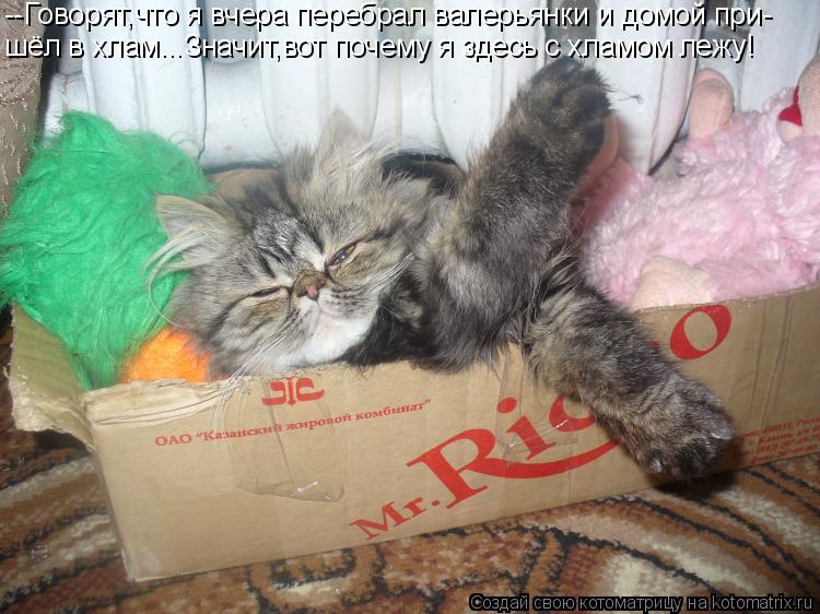 Котоматрица: --Говорят,что я вчера перебрал валерьянки и домой при- шёл в хлам...Значит,вот почему я здесь с хламом лежу!