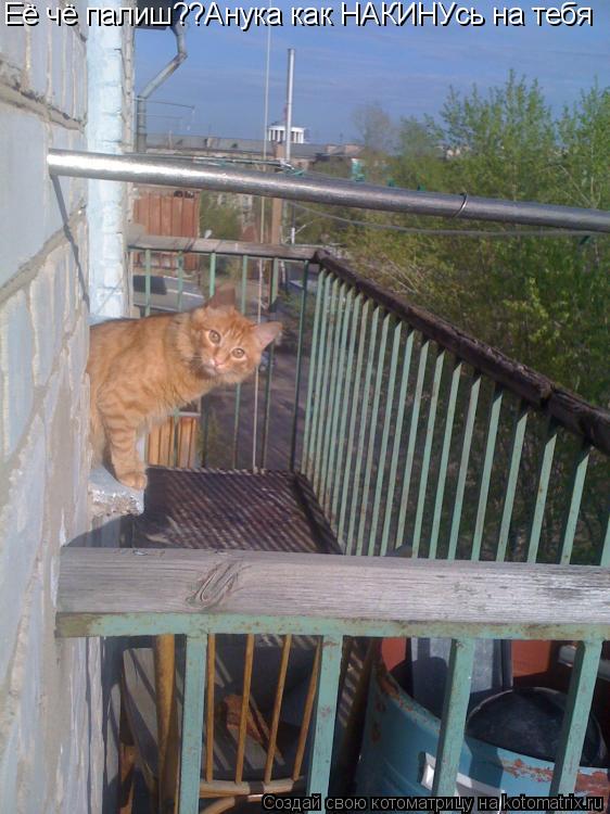 Котоматрица: Её чё палиш??Анука как НАКИНУсь на тебя