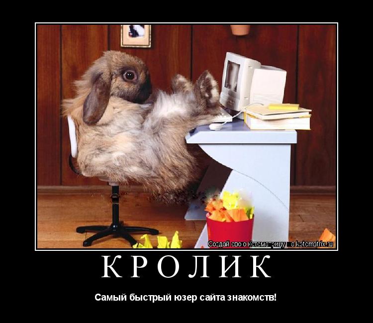 Кролик Самый быстрый юзер сайта знакомств!... Котоматрица: Кролик Самый быстрый юзер сайта знакомств!