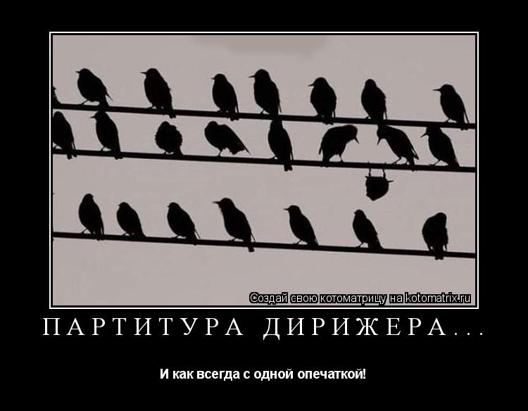 Котоматрица: Партитура дирижера... И как всегда с одной опечаткой!