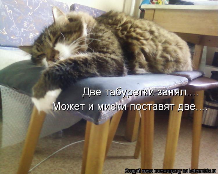 Две табуретки занял.... Может и миски поставят две....... Котоматрица: Две табуретки занял.... Может и миски поставят две....