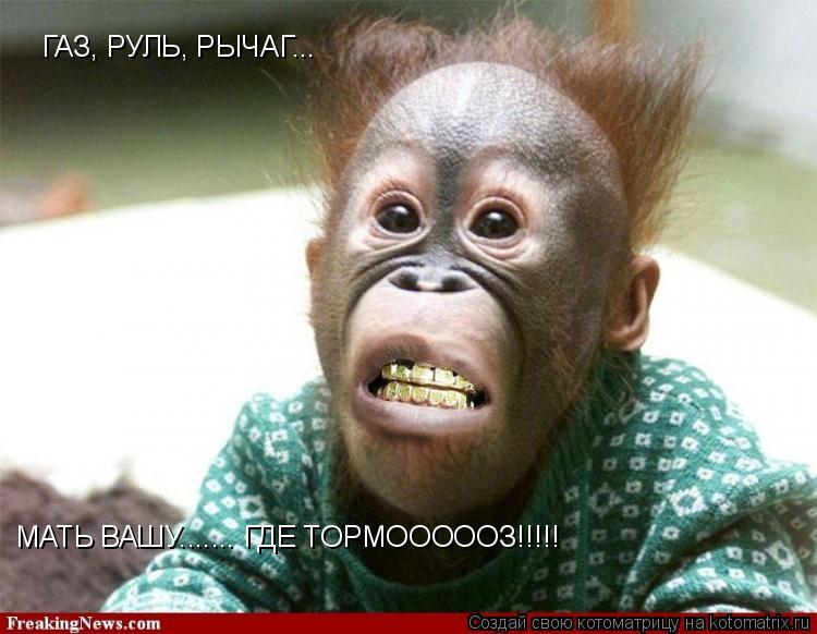 ГАЗ, РУЛЬ, РЫЧАГ... МАТЬ ВАШУ....... ГДЕ ТОРМОООООЗ!!!!!... Котоматрица: ГАЗ, РУЛЬ, РЫЧАГ... МАТЬ ВАШУ....... ГДЕ ТОРМОООООЗ!!!!!