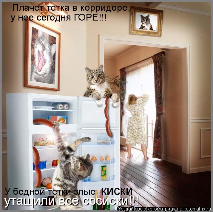 Котоматрица: Плачет тетка в корридоре, у нее сегодня ГОРЕ!!! У бедной тетки злые  киски утащили все сосиски!!!