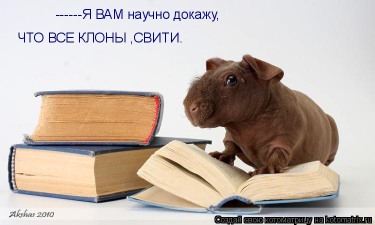 ------Я ВАМ научно докажу, ЧТО ВСЕ КЛОНЫ ,СВИТИ.... Котоматрица: ------Я ВАМ научно докажу, ЧТО ВСЕ КЛОНЫ ,СВИТИ.