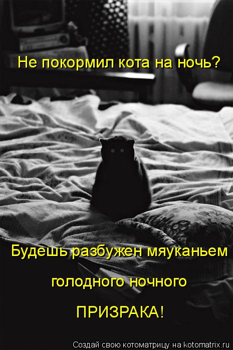 Котоматрица: Не покормил кота на ночь? Будешь разбужен мяуканьем голодного ночного ПРИЗРАКА!