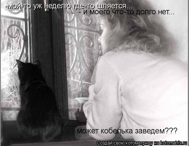 -мой-то уж неделю где-то шляется... - и моего что-то долго нет... может кобелька заведем???... Котоматрица: -мой-то уж неделю где-то шляется... - и моего что-то долго нет... может кобелька заведем???